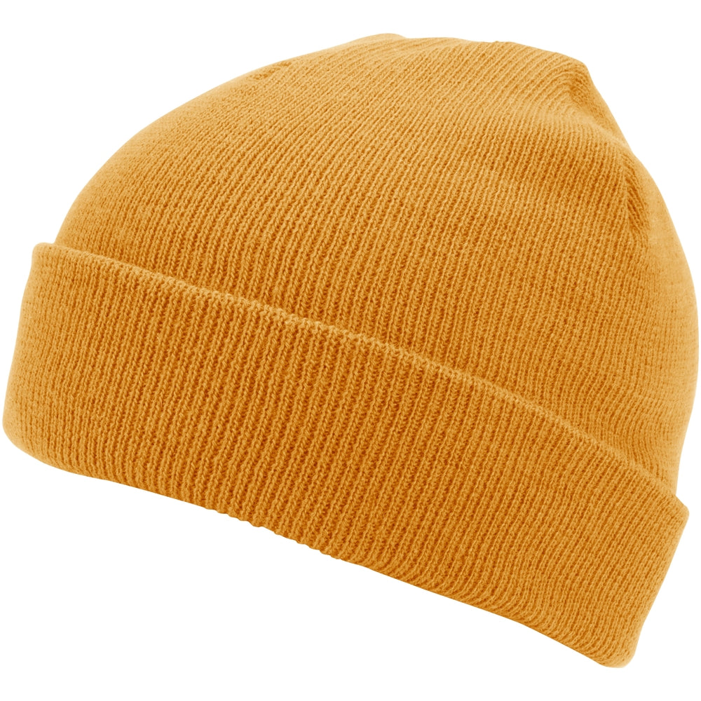 POLAR CUFF BEANIE
