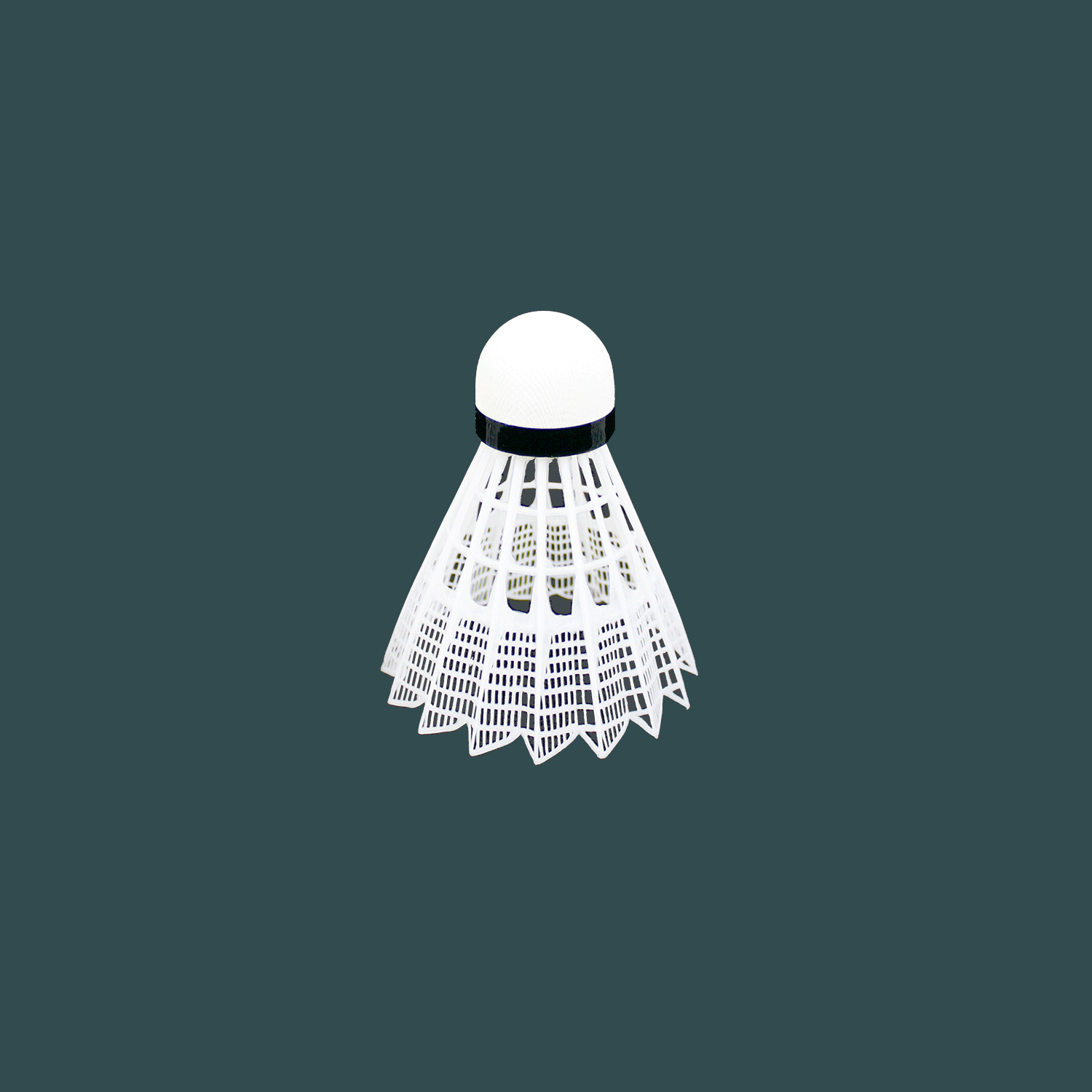 Badminton Birdy