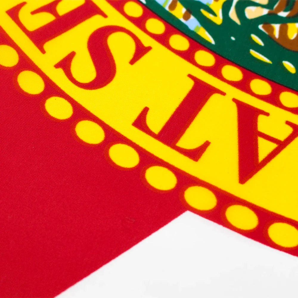 Florida Flag 90X150cm polyester hanging Us Usa State Florida Flag banner For Decoration