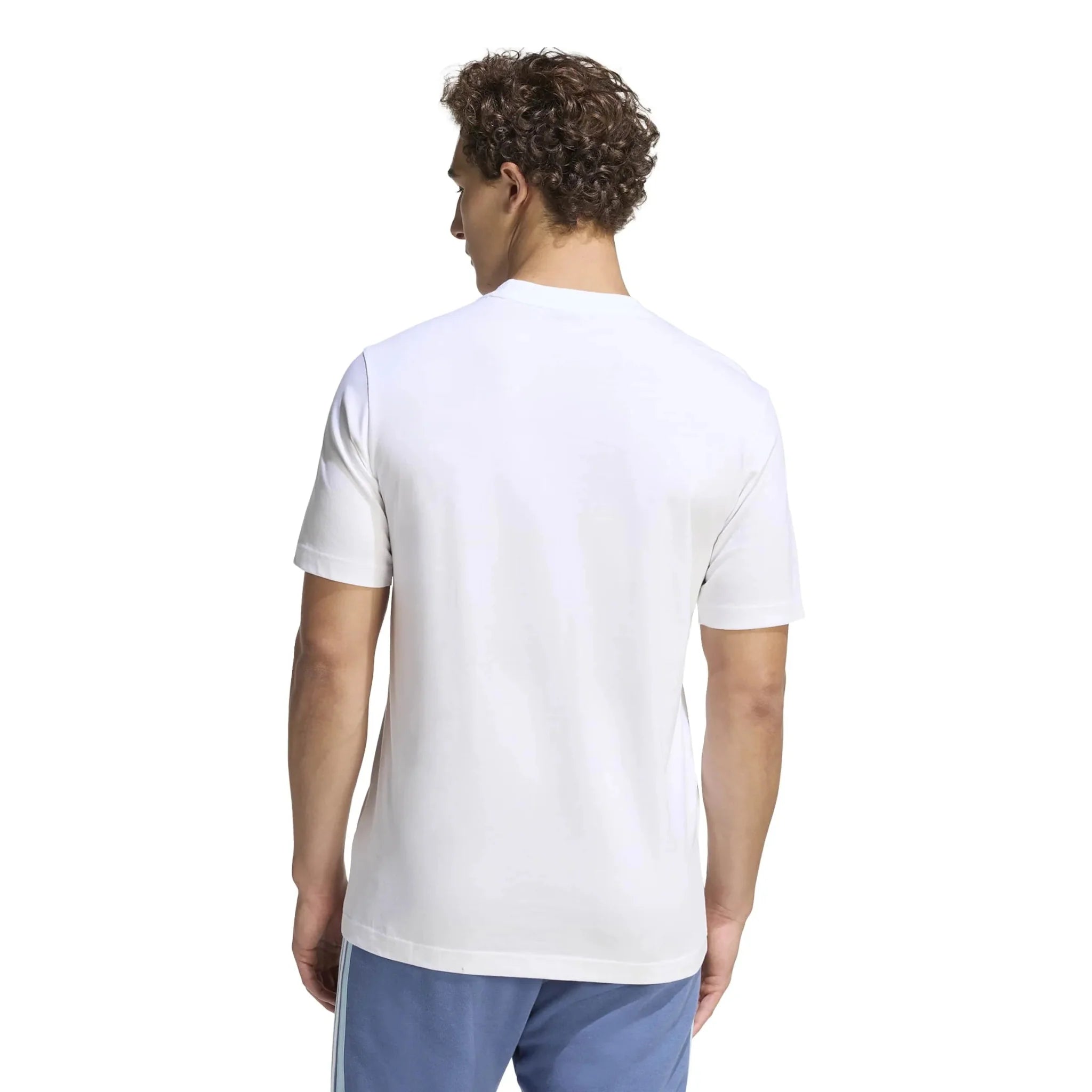 adidas 2026 Argentina Men's DNA Graphic Tee