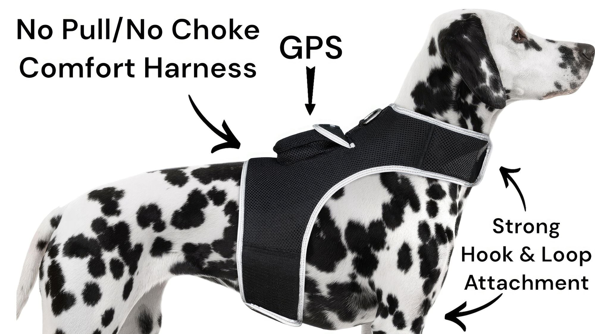 Waterproof Mini Pet Location Finder w/ Pet GPS Tracking Cell Phone App Size:M