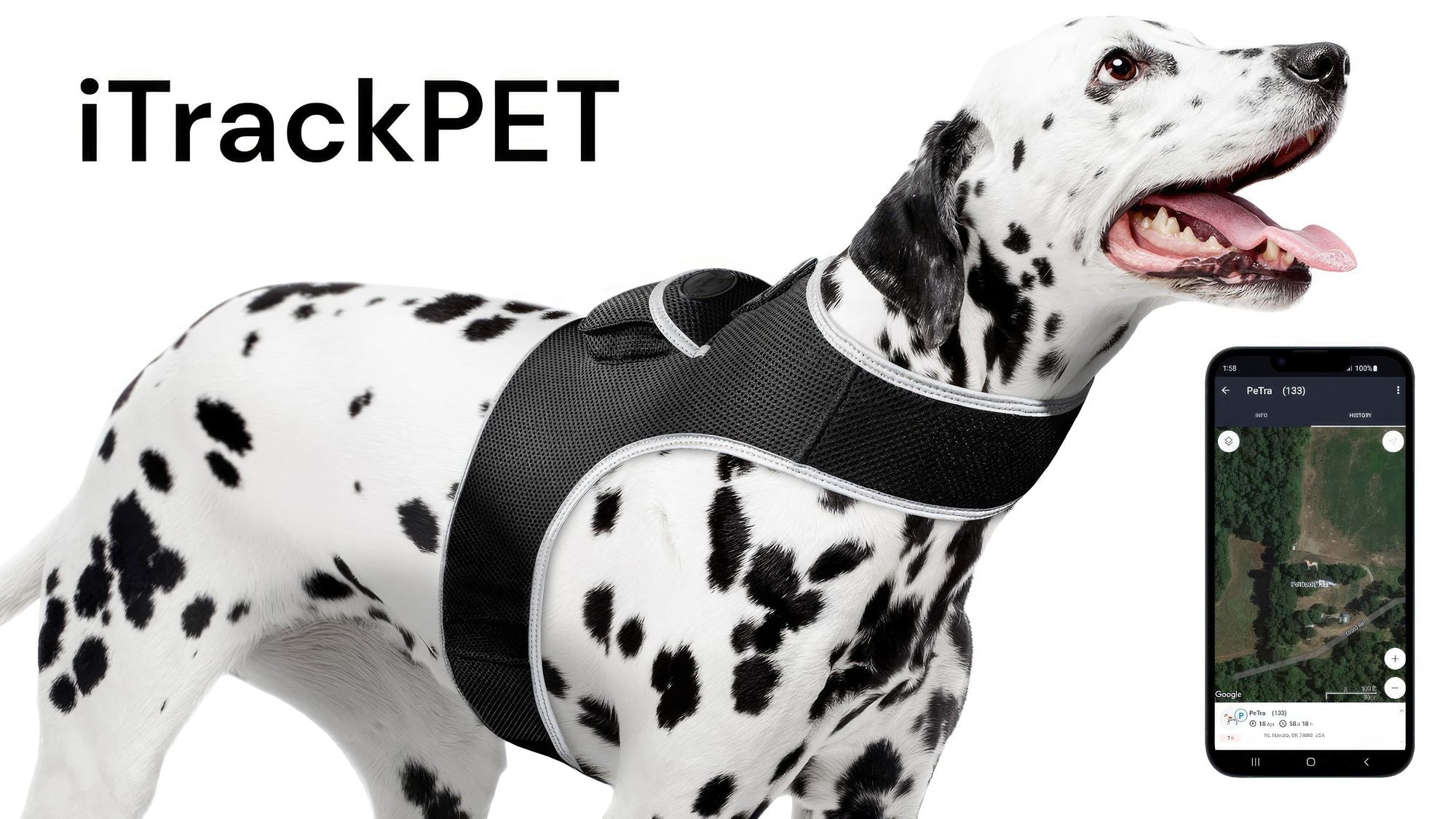 Waterproof Mini Pet Location Finder w/ Pet GPS Tracking Cell Phone App Size:M