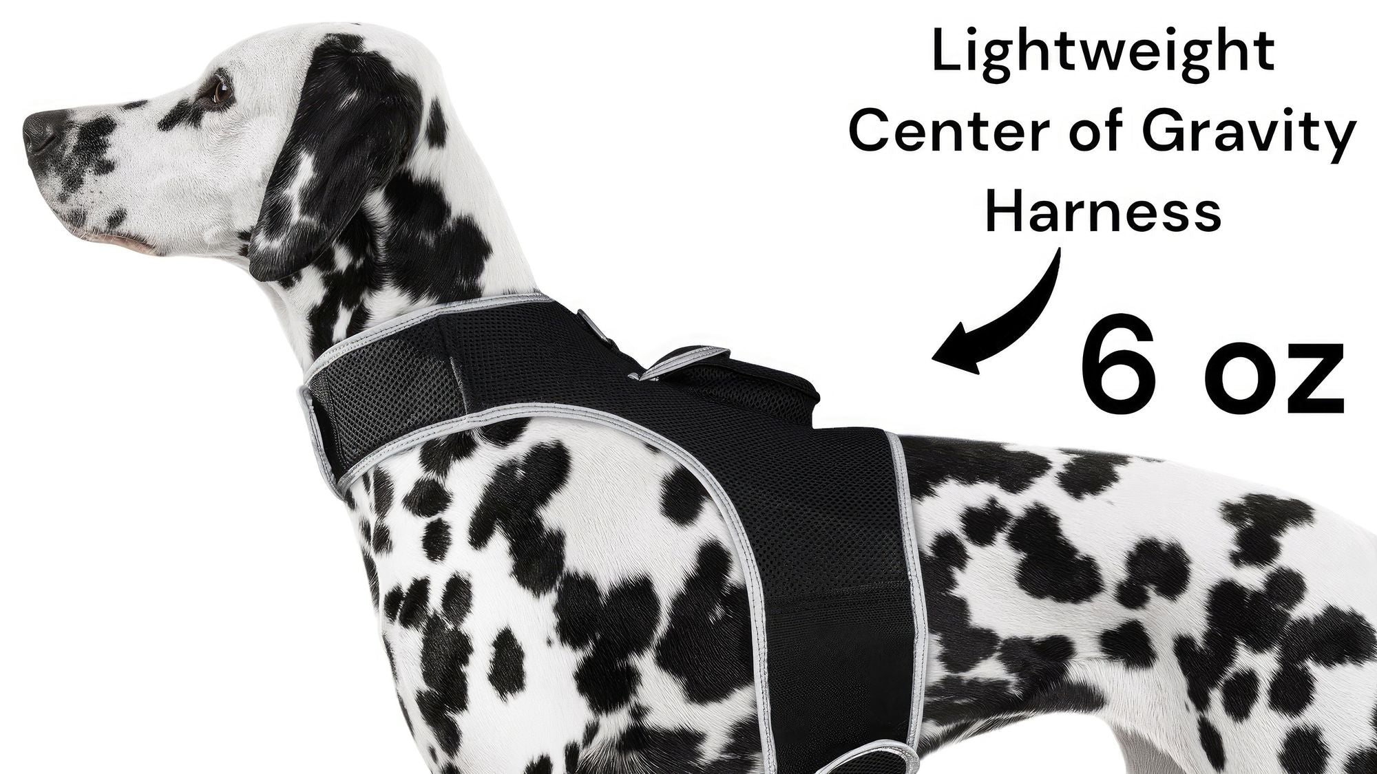 Collar Rechargeable Portable GPS Tracking Devices for Pets GSM Locator Size:S