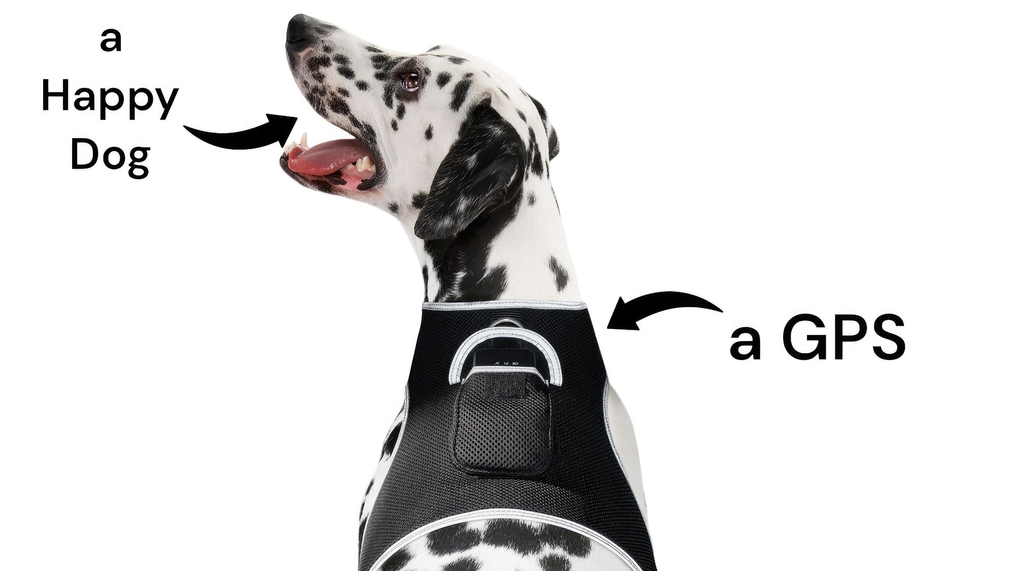Waterproof Mini Pet Location Finder w/ Pet GPS Tracking Cell Phone App Size:M