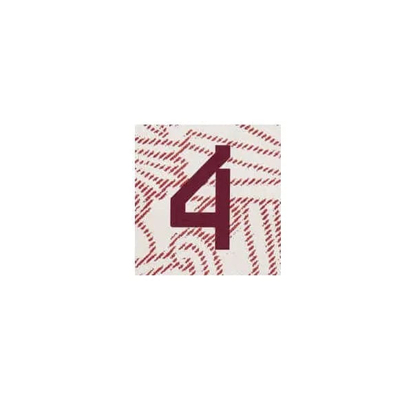 Mexico 2022/23 Away E. Alvarez #4 Jersey Name Set