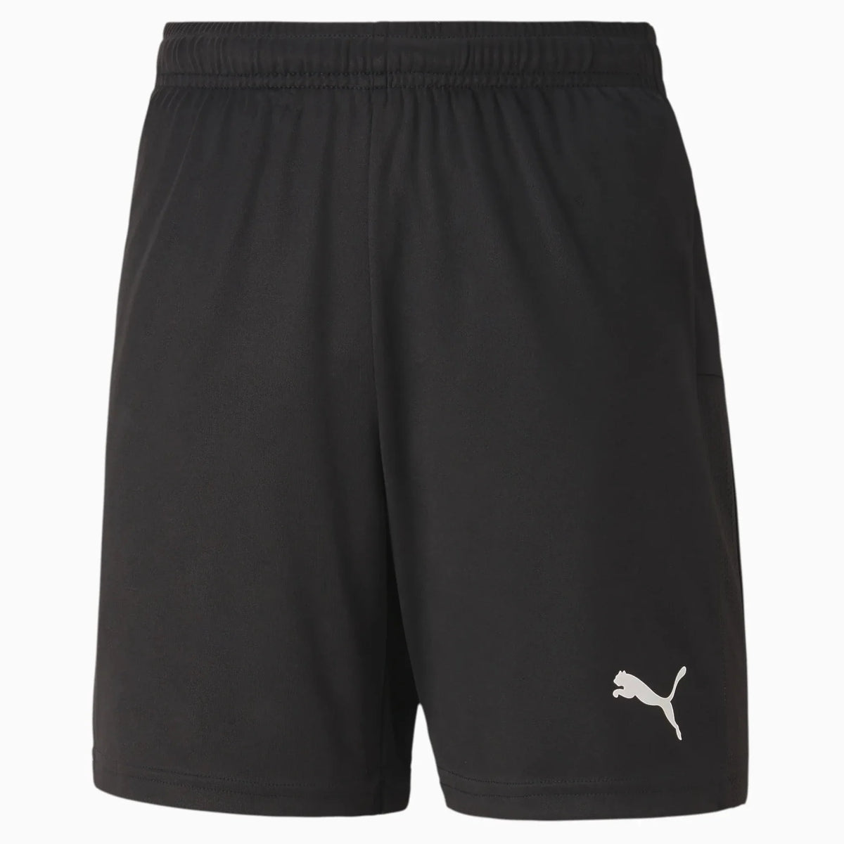Puma Teamgoal 23 Knit Youth Shorts