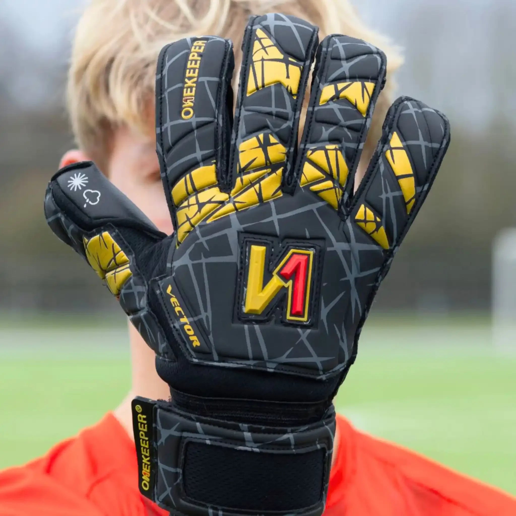 VECTOR Evolution Black & Gold (No Finger Protection)