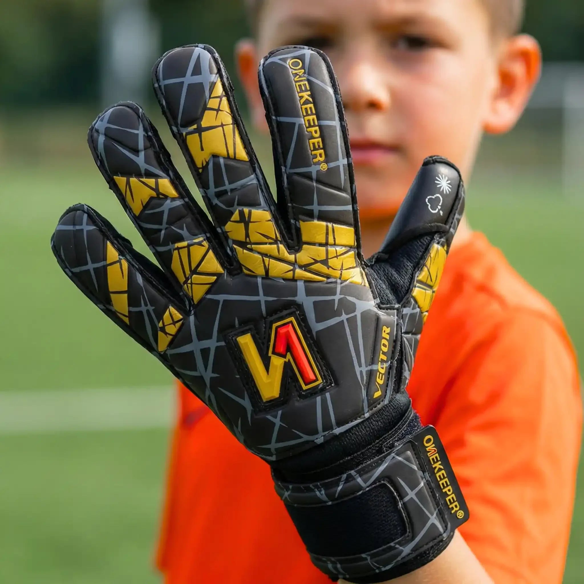 VECTOR Evolution Black & Gold (No Finger Protection)