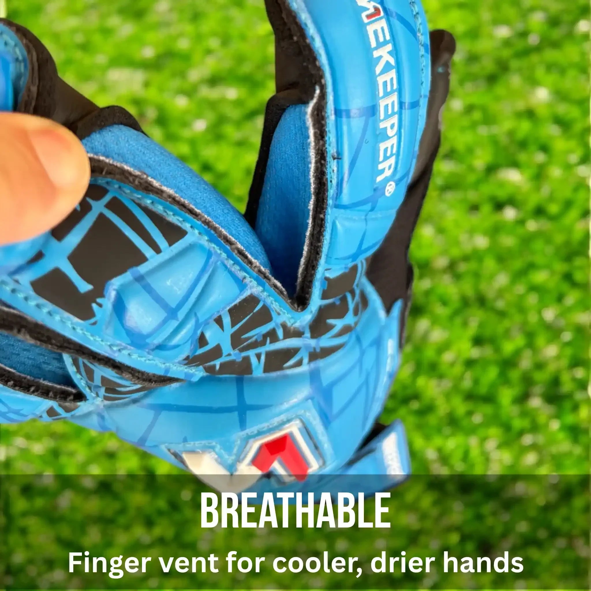 VECTOR Evolution Blue (No Finger Protection)