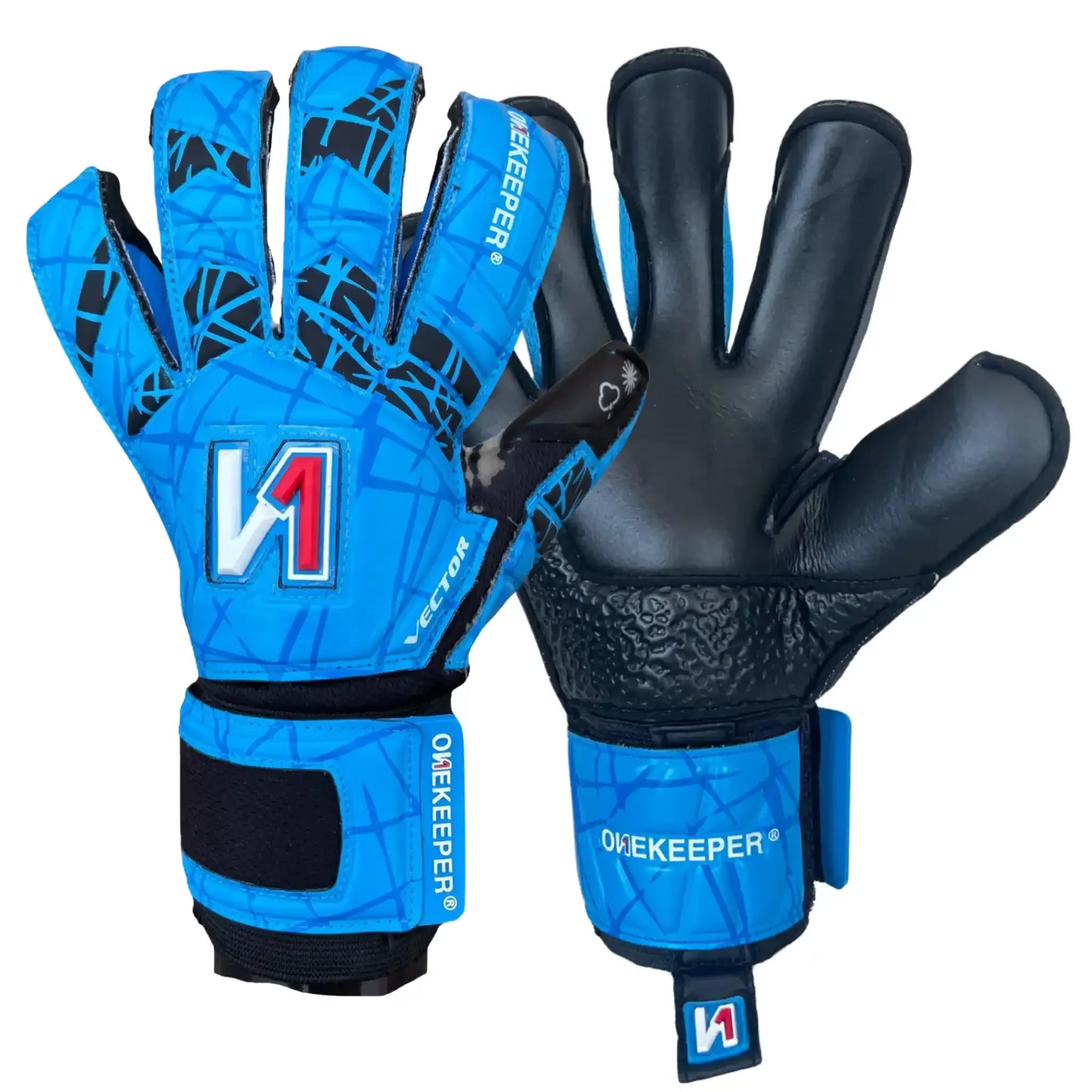 VECTOR Evolution Blue (No Finger Protection)