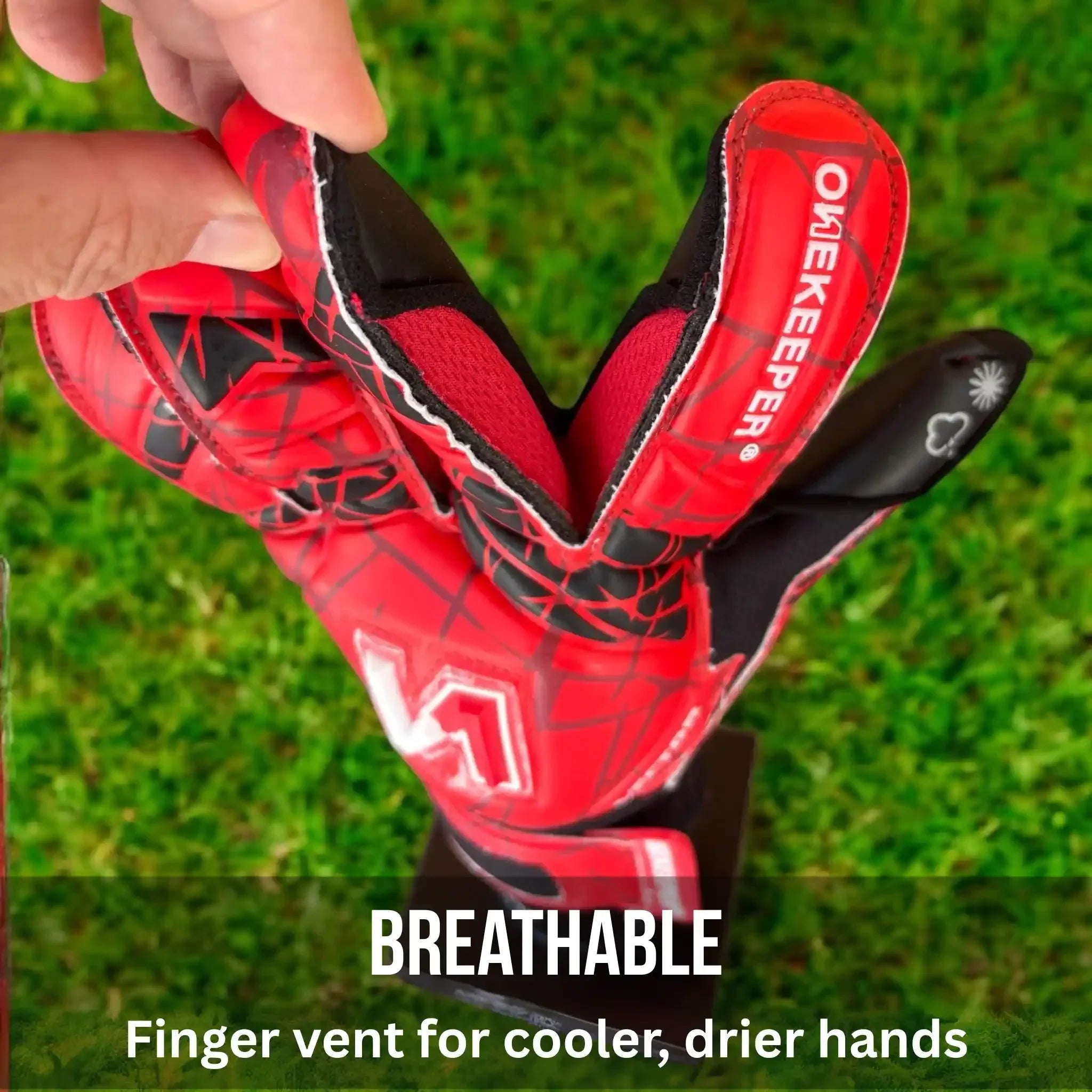 VECTOR Evolution Red (No Finger Protection)