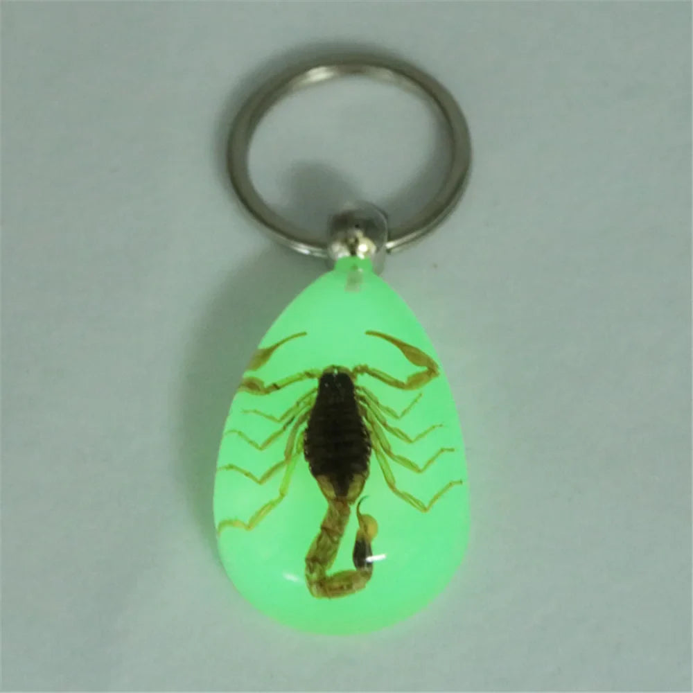 Car luminous amber insect keychain pendant for Citroen 2002 2004 2006 Daewoo c3 c4 2009