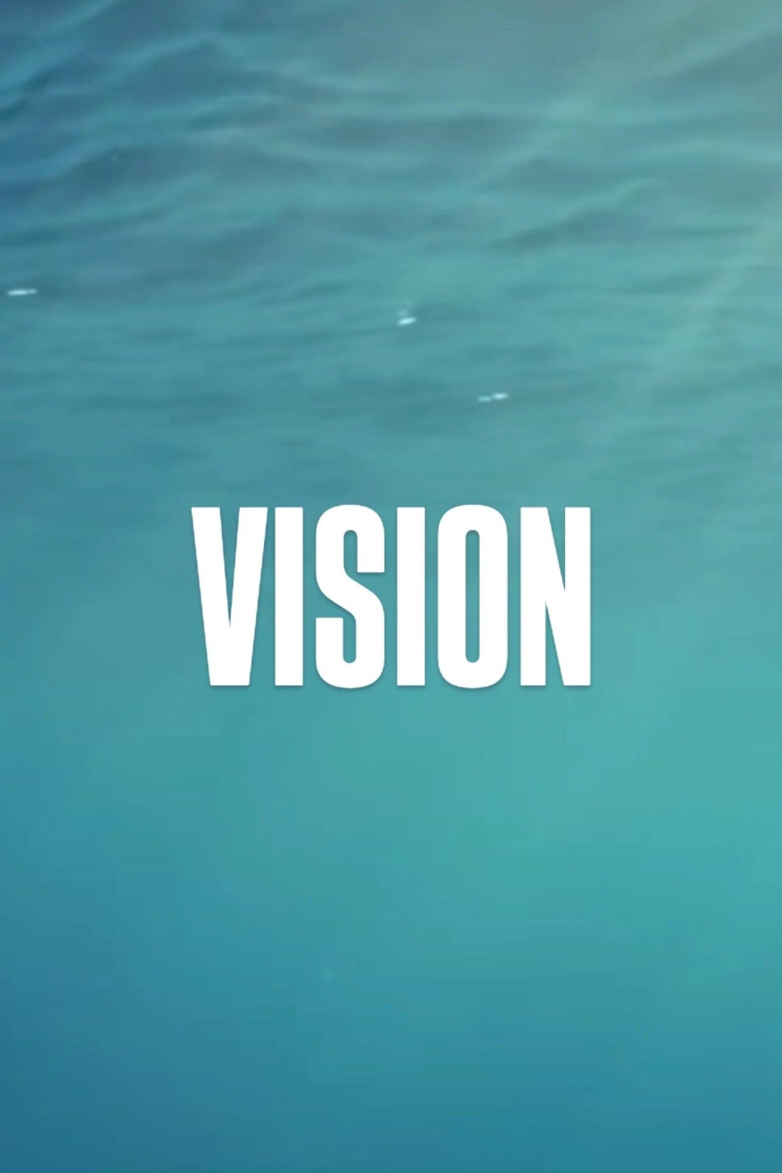VISION