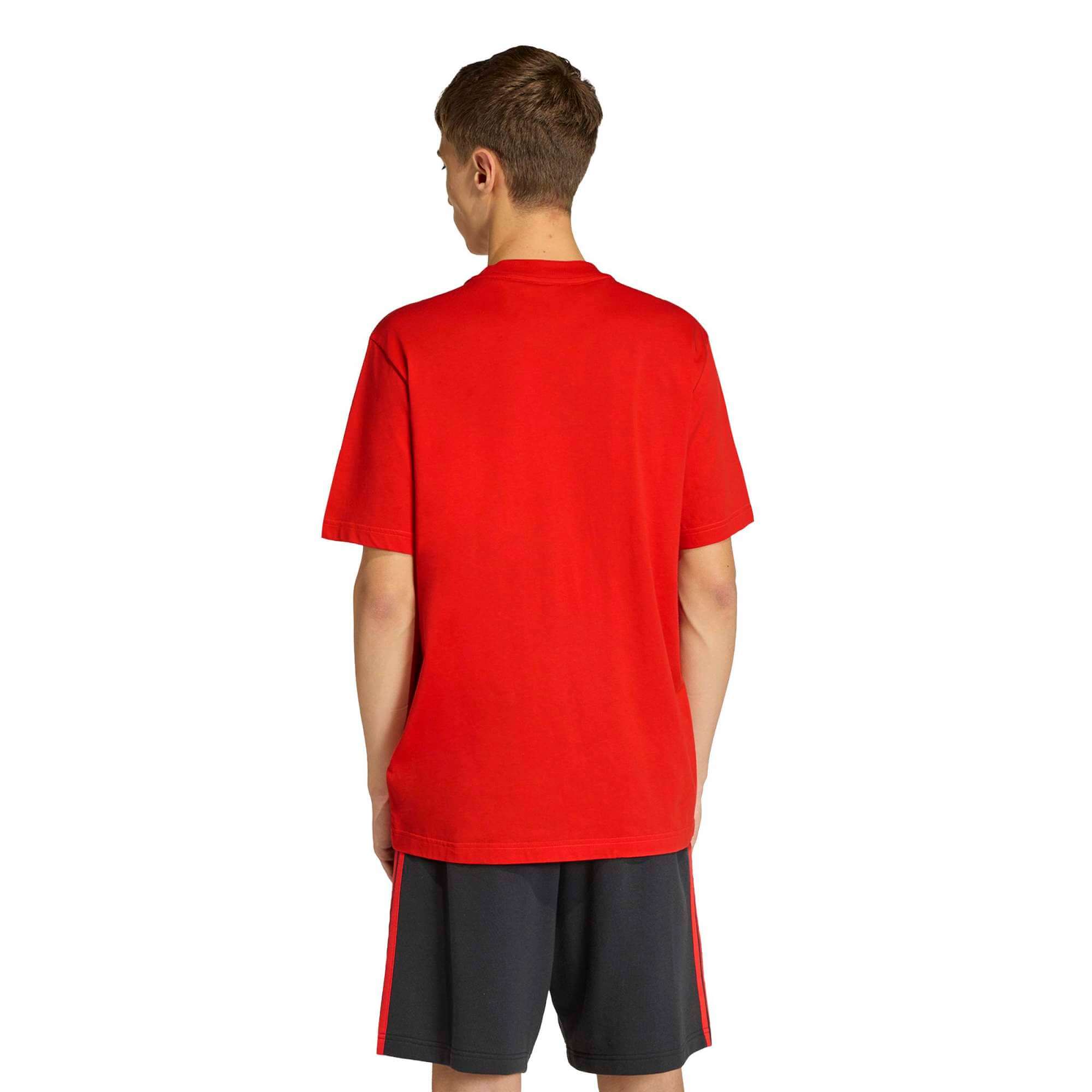 adidas 2026 Belgium Men's DNA Graphic Tee