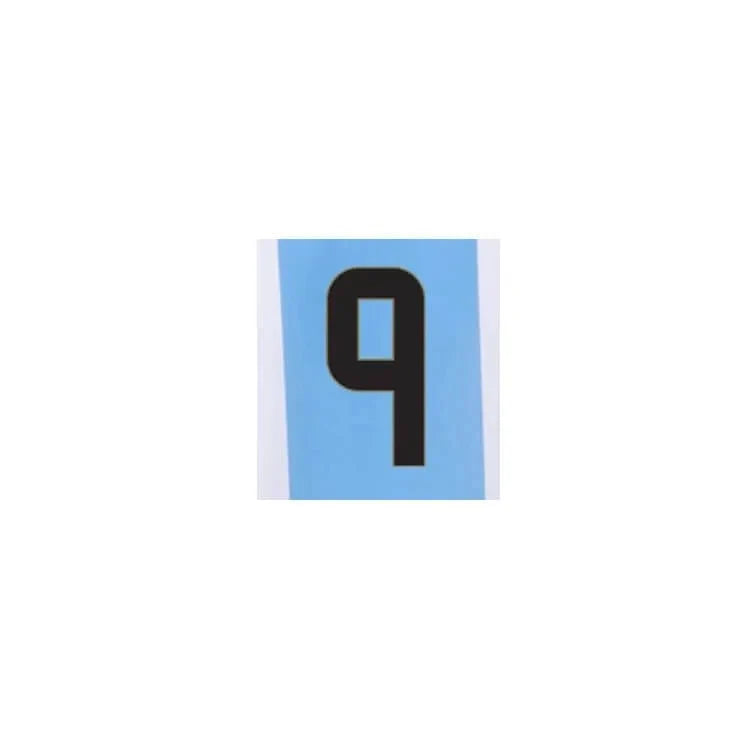 Argentina 2024/25 Home J. Alvarez #9 Jersey Name Set