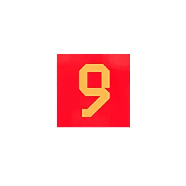 Belgium 2022-23 Home R. Lukaku Youth  #9 Jersey Name Set