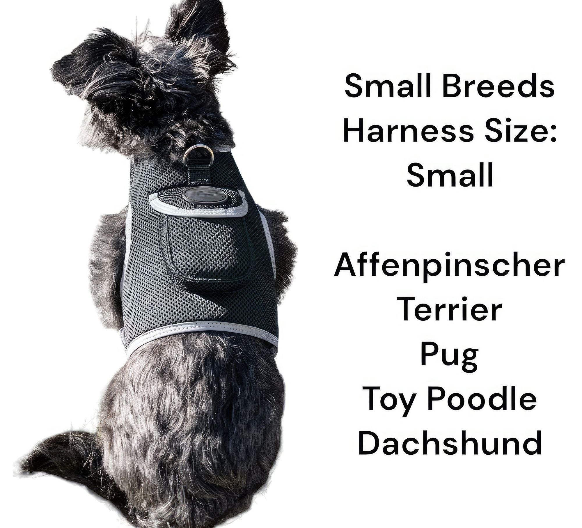 Collar Rechargeable Portable GPS Tracking Devices for Pets GSM Locator Size:S