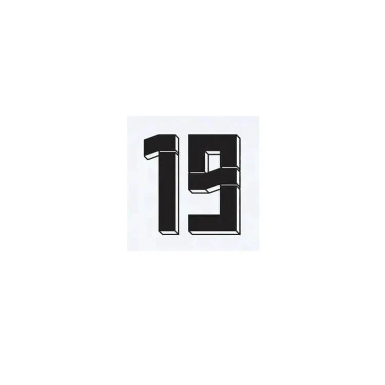 Germany 2024/25 Home Sane #19 Jersey Name Set