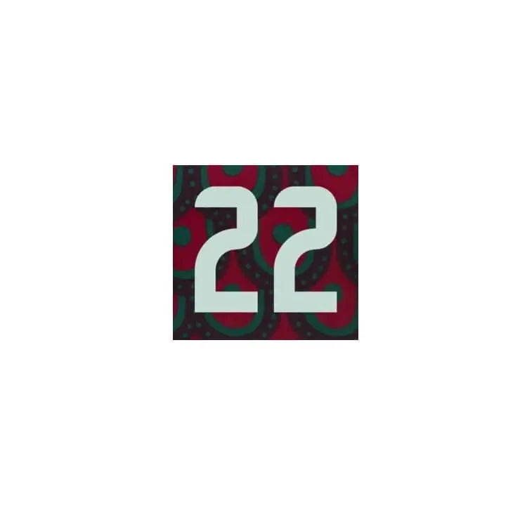 Mexico 2024/25 Home H. Lozano #22 Jersey Name Set