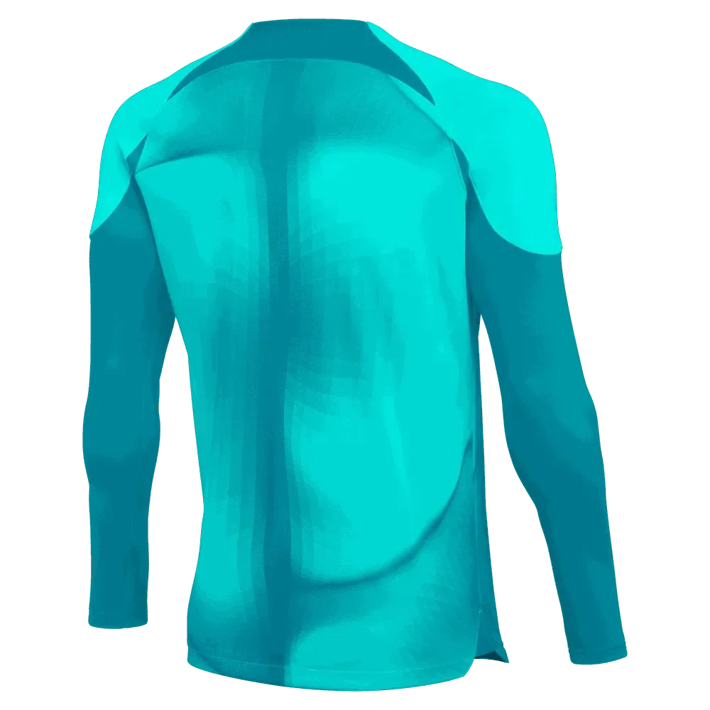 Nike Gardien IV LS Goalkeeper Jersey