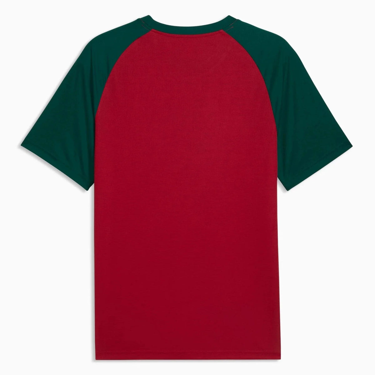 Puma 2026 Morocco Men's Pre-Match Soccer Jersey