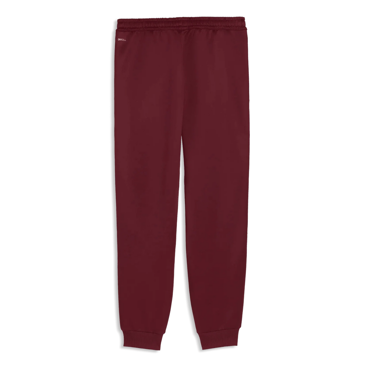Puma 2026 Portugal Men's KING Anthem Pants