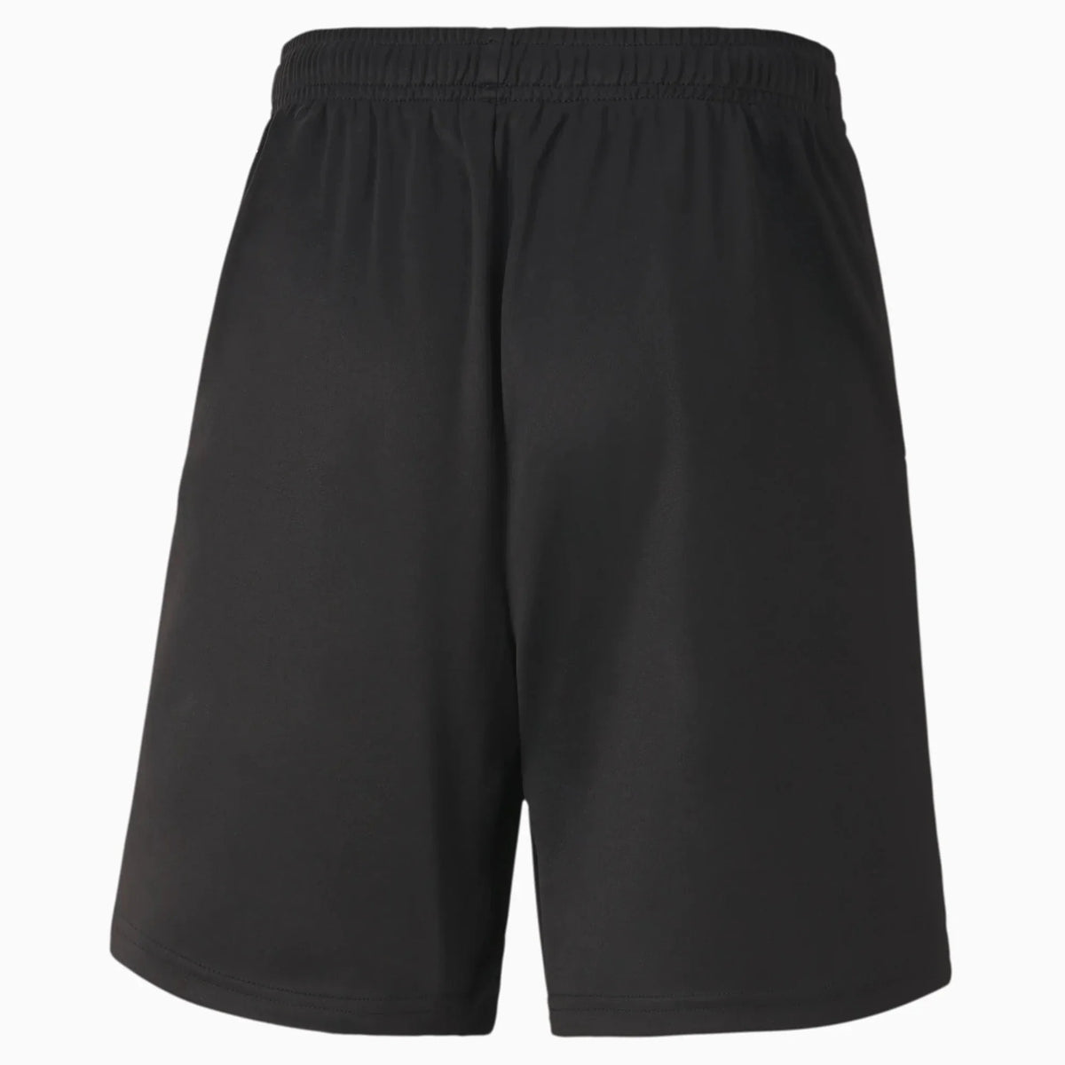 Puma Teamgoal 23 Knit Youth Shorts