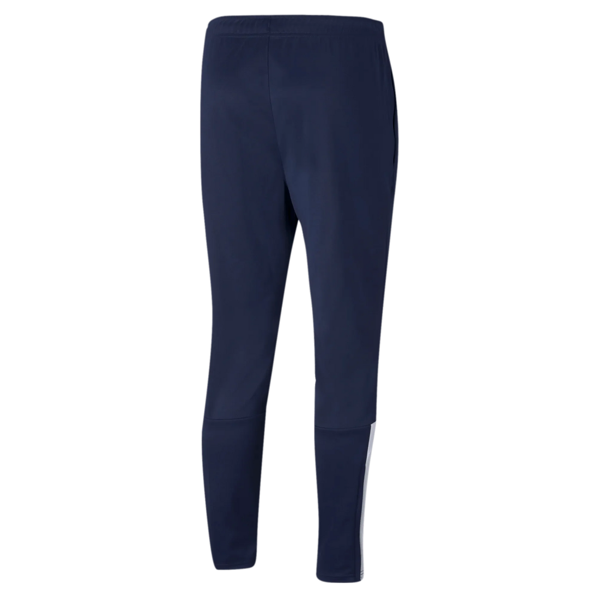 Puma TeamLiga Training Pants