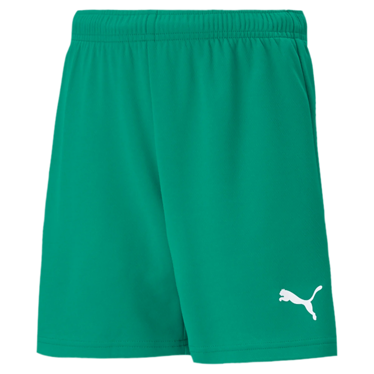 Puma Teamrise Youth Short