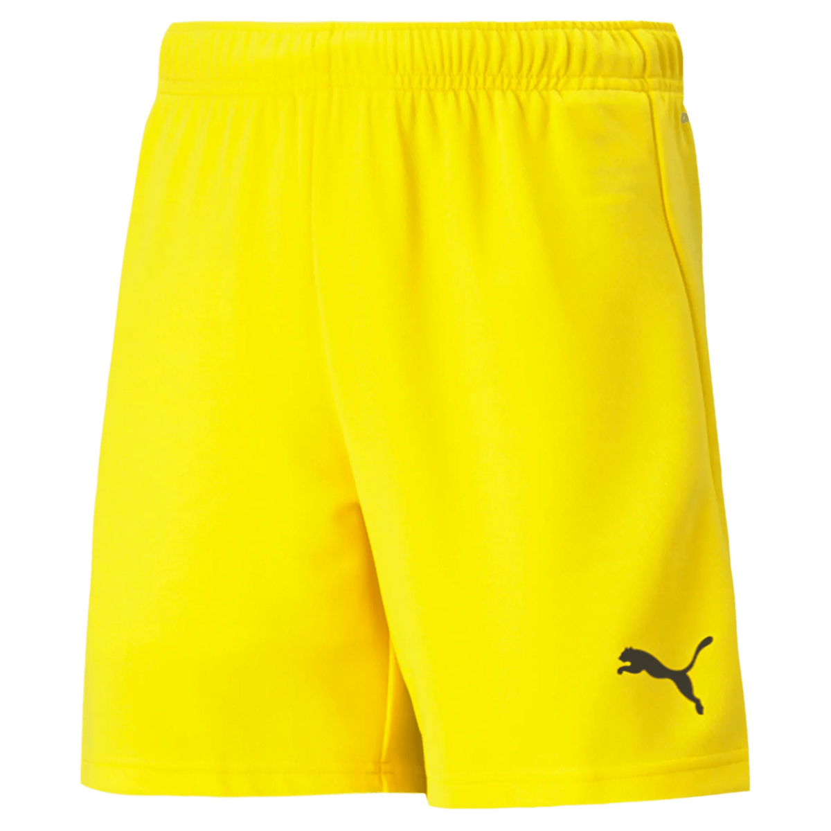 Puma Teamrise Youth Short
