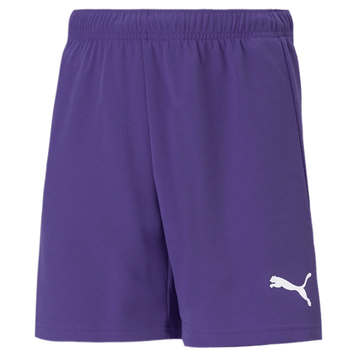Puma Teamrise Youth Short