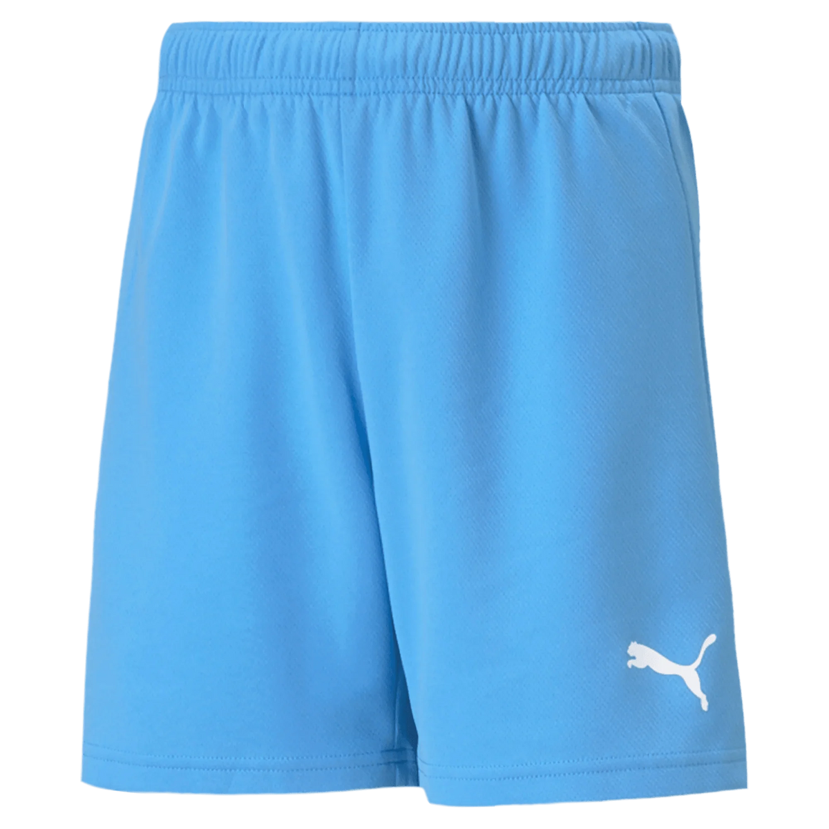 Puma Teamrise Youth Short