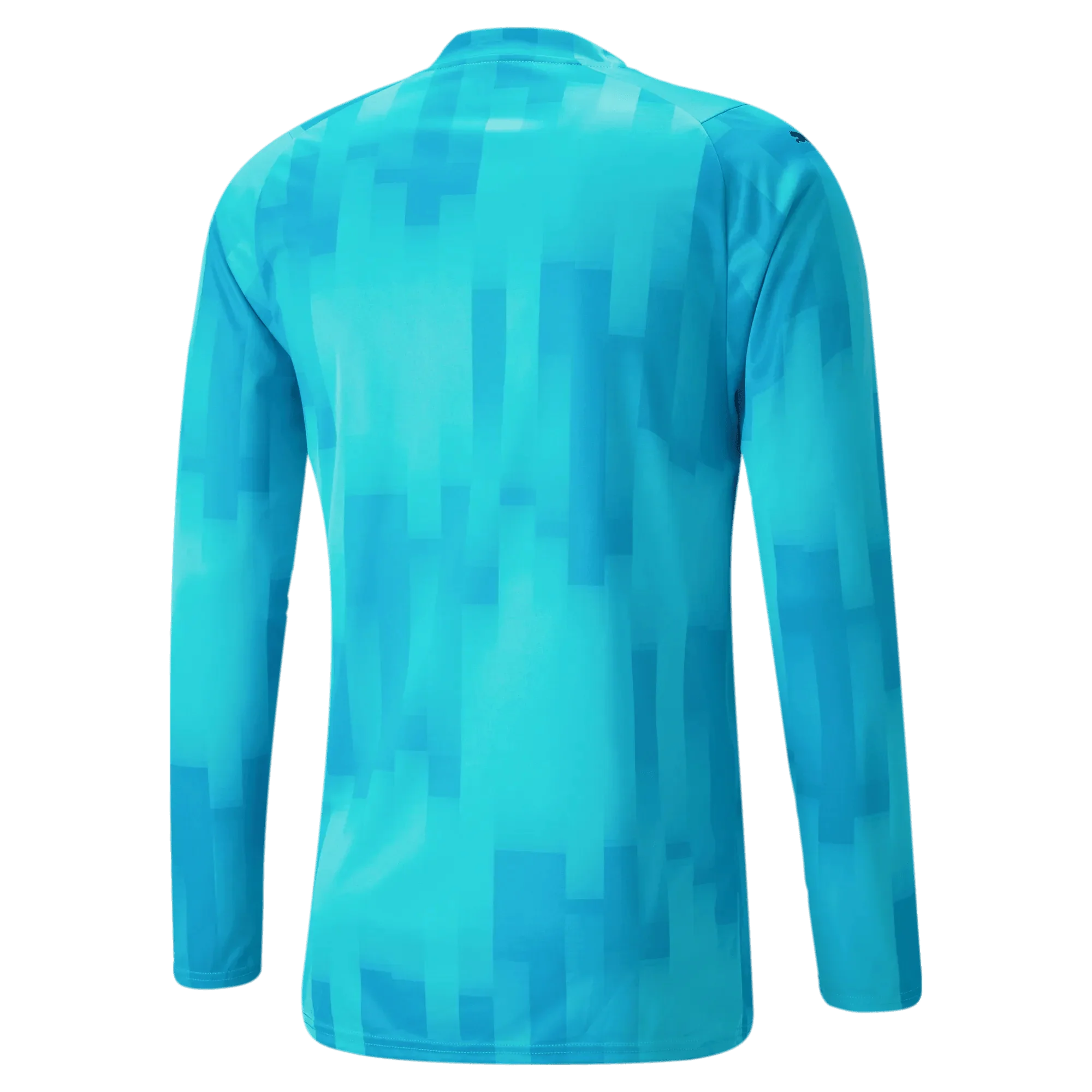 Puma Teamtarget Goalkeeper Longsleeve Mens Jersey