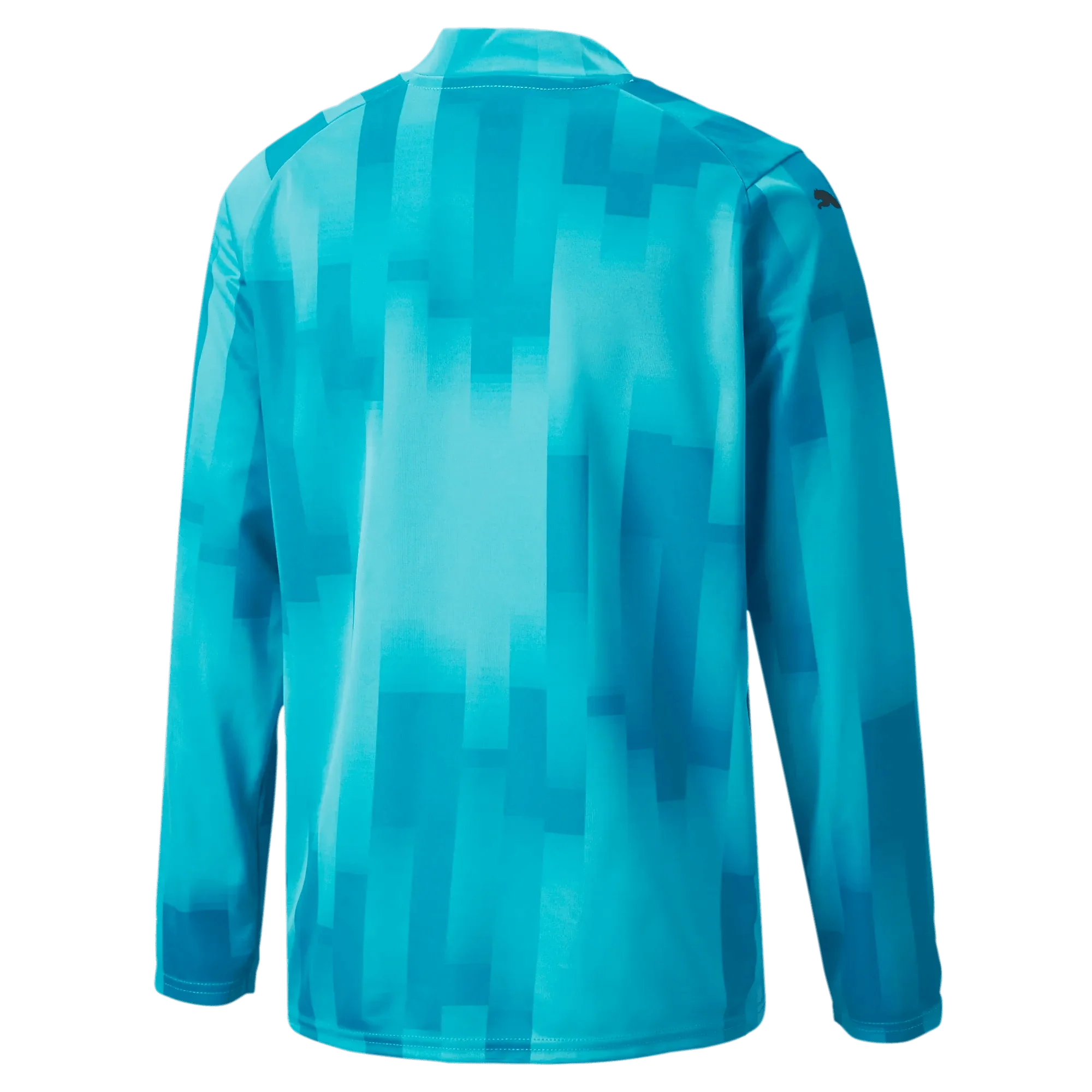 Puma Teamtarget Goalkeeper Longsleeve Youth Jersey