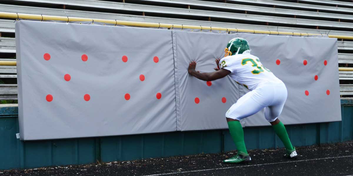 Hand Punch Target