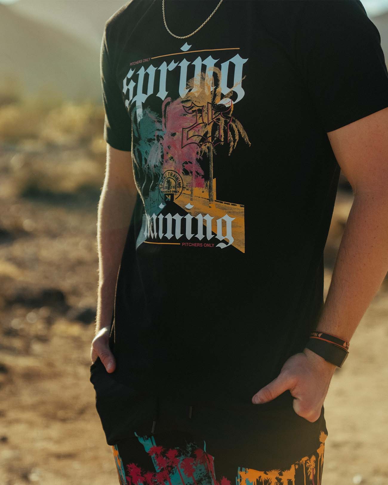 Spring Training Sunset Tee