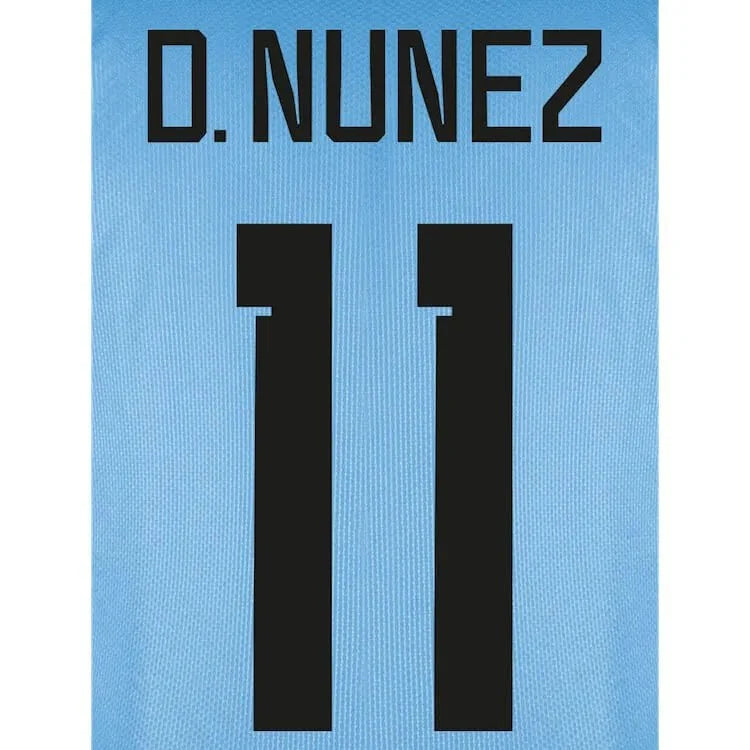 Uruguay 2022-23 Home/Away  D. Nunez #11 Jersey Name Set