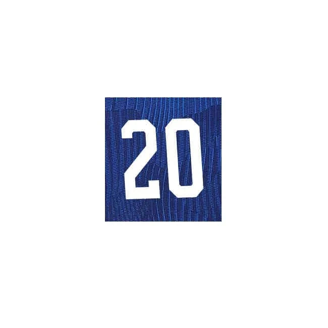 USWNT  2022/23 Away Rodman #20  Jersey Name Set (10 inch)