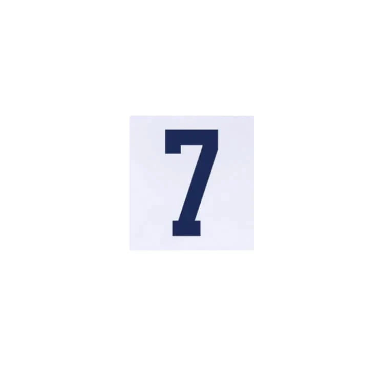 USMNT 2024/25 Home Reyna #7 Jersey Name Set
