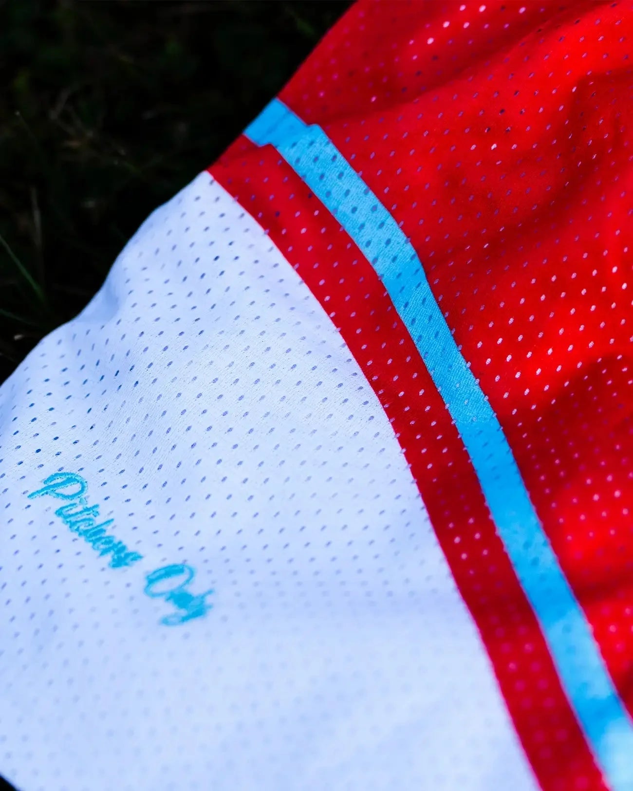 Cherry Ice Mesh Shorts